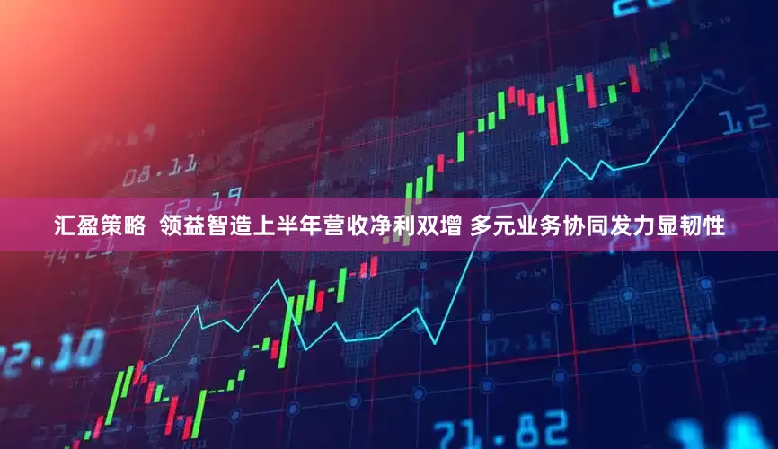 汇盈策略  领益智造上半年营收净利双增 多元业务协同发力显韧性